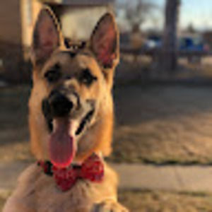 Meet your Posher, Erika